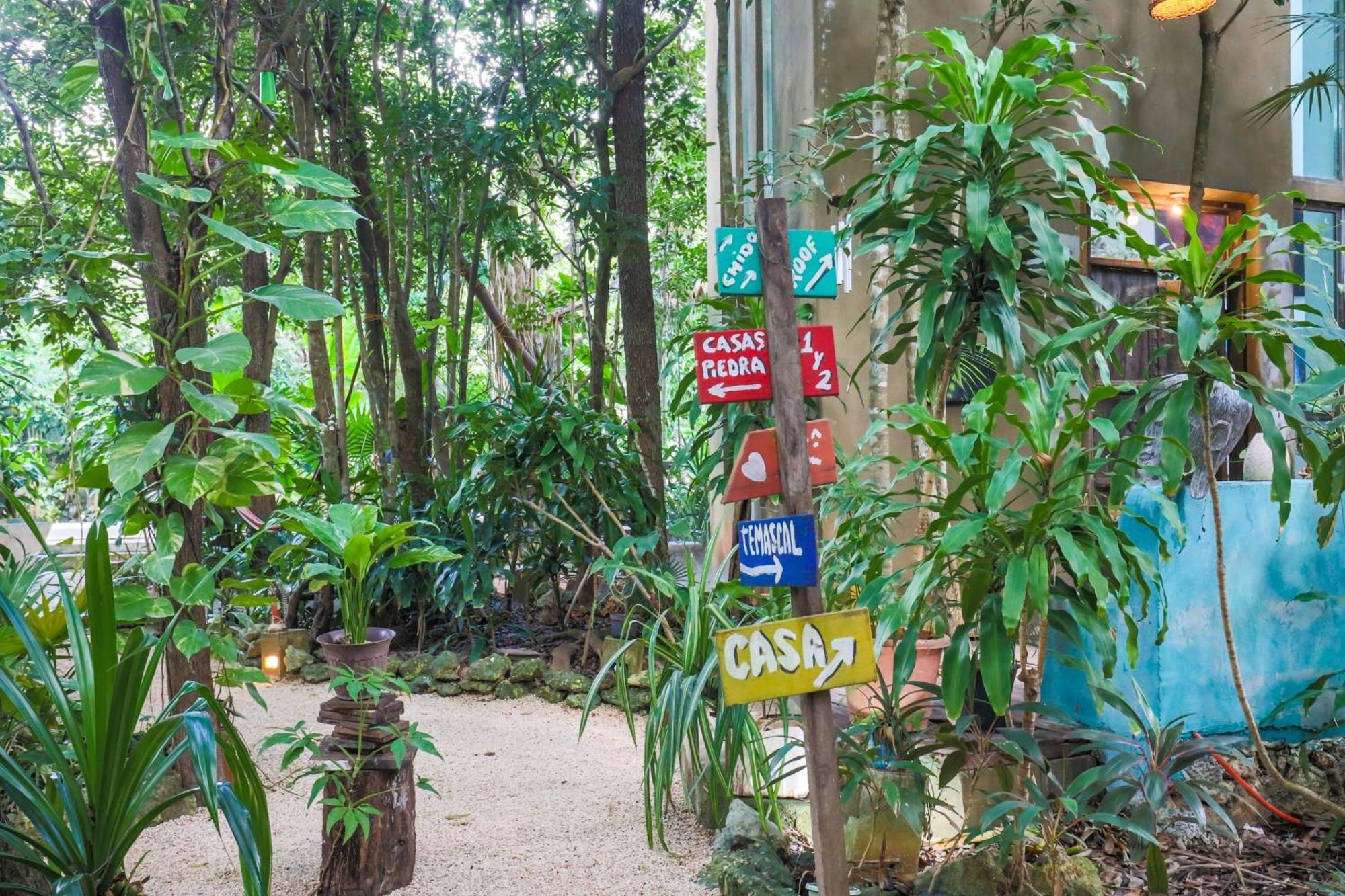 Guest House La Aldea Holistic Experience Cancún Kültér fotó