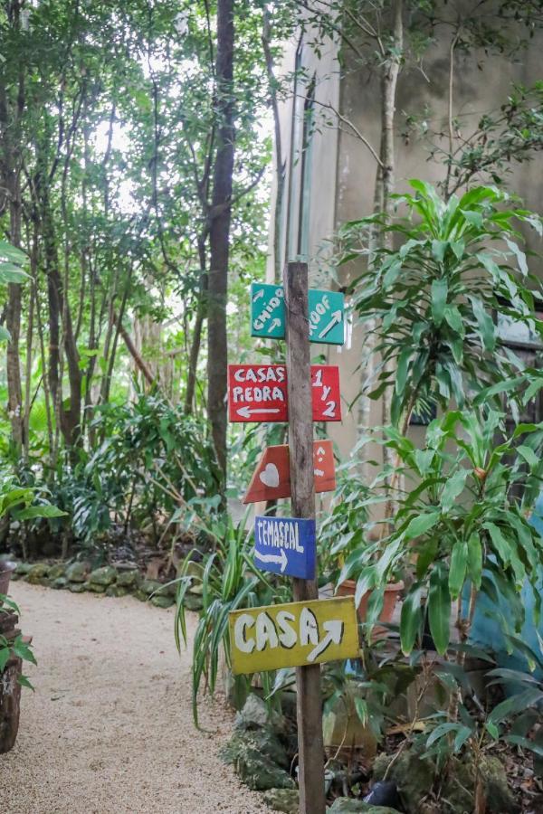 Guest House La Aldea Holistic Experience Cancún Kültér fotó